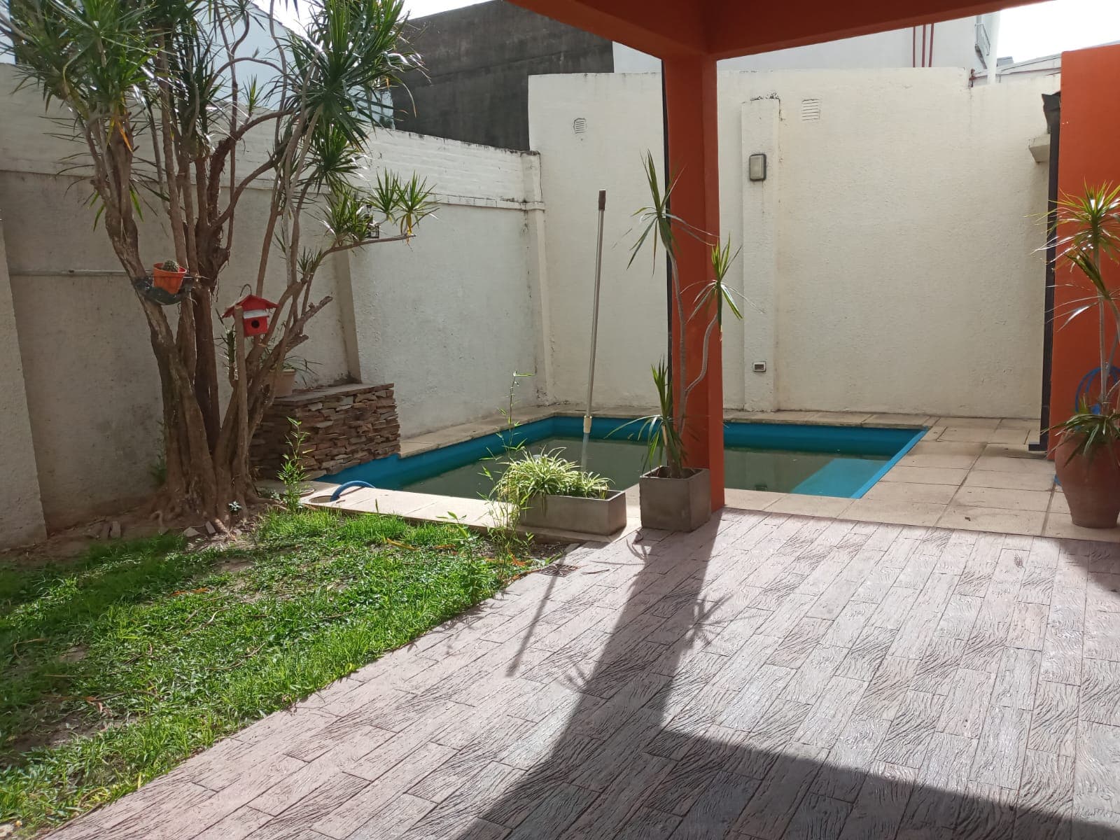 Imagen 9